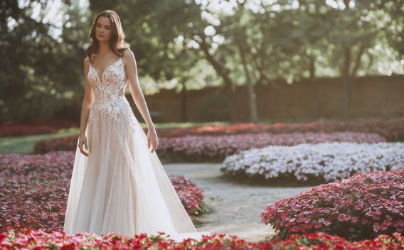 {related_blogs:title}