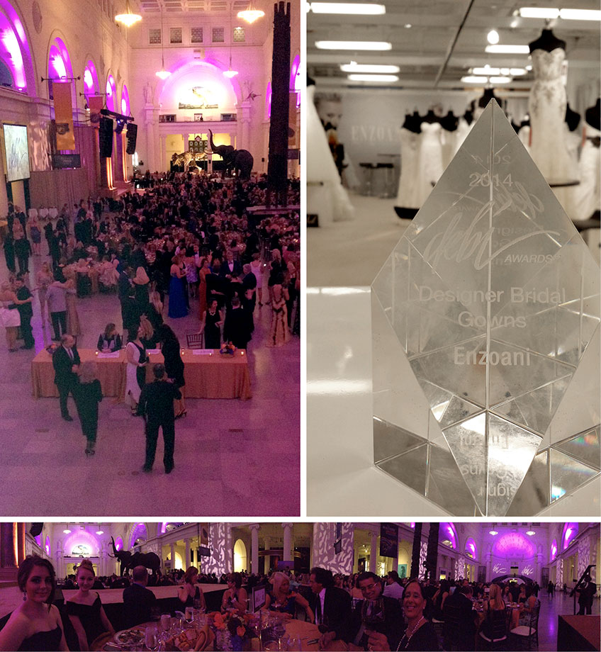 Enzoani Chicago DEBI award at the Field Museum