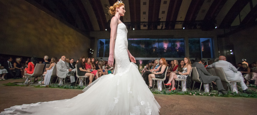 {related_blogs:title}