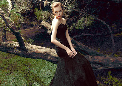 {related_blogs:title}