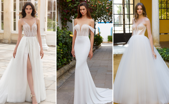 {related_blogs:title}