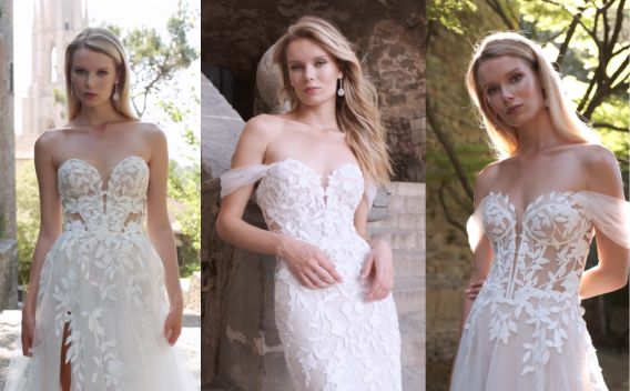 {related_blogs:title}