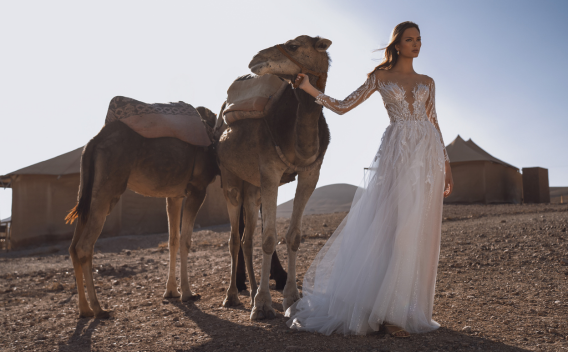 {related_blogs:title}