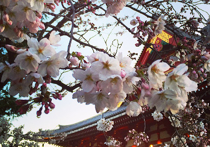 {related_blogs:title}