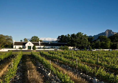 {related_blogs:title}