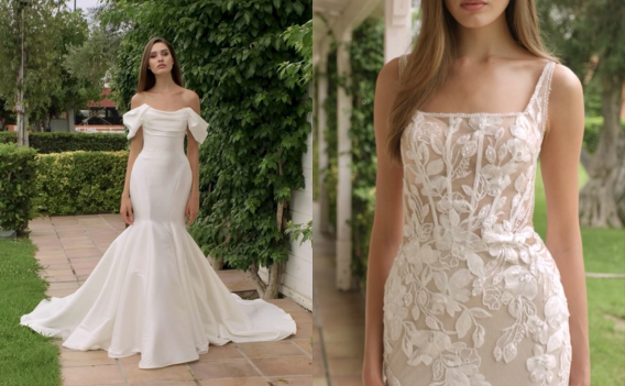 {related_blogs:title}