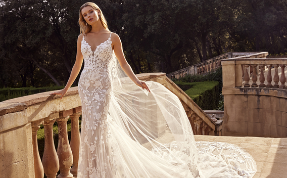 {related_blogs:title}