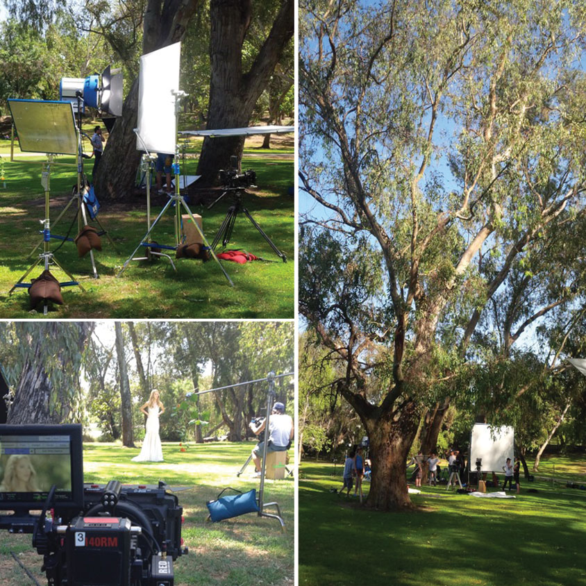 behind the scenes with enzoani